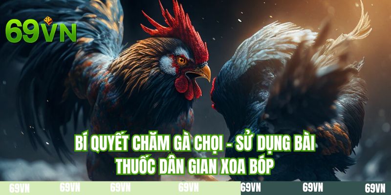 Bí quyết chăm gà chọi - Sử dụng bài thuốc dân gian xoa bóp