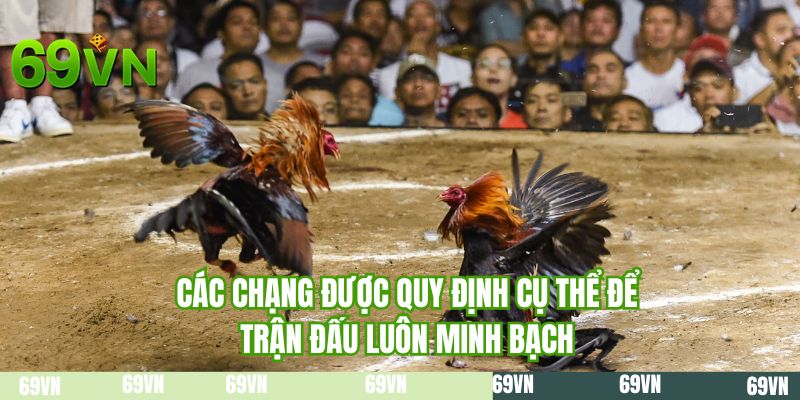 Các chạng được quy định cụ thể để trận đấu luôn minh bạch