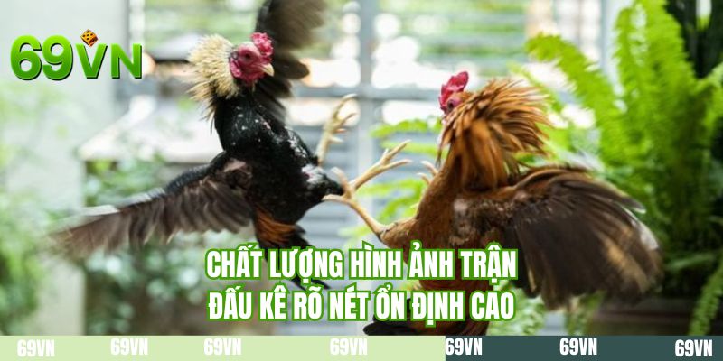 Chất lượng hình ảnh trận đấu kê rõ nét ổn định cao