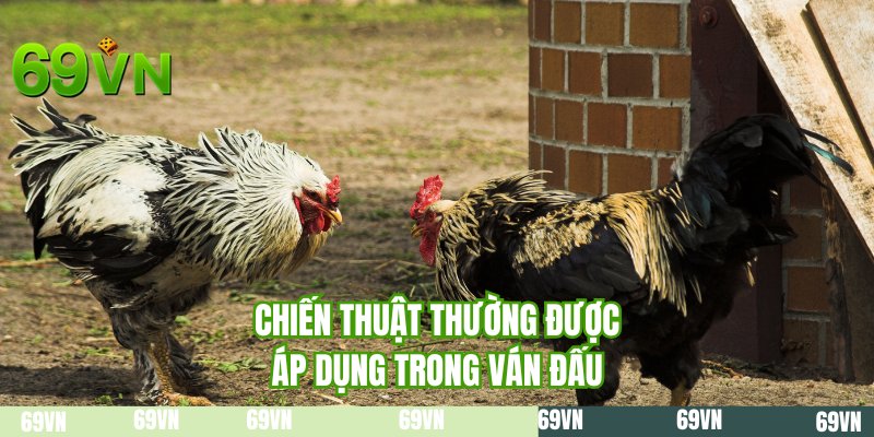 Chiến thuật thường được áp dụng trong ván đấu