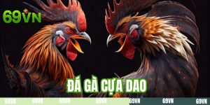 Đá Gà Cựa Dao Bí Kíp Cá Cược Đỉnh Cao Từ Tay Chơi Lão Làng 