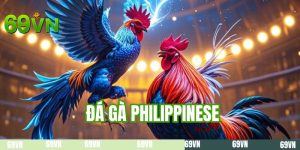 Đá Gà Philippines - Hồi Hộp Theo Từng Lần Tung Đòn