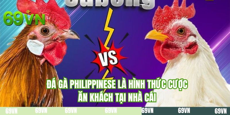 Đá gà Philippinese là hình thức cược ăn khách tại nhà cái