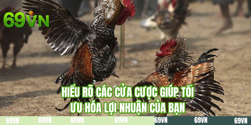 Hiểu rõ các cửa cược giúp tối ưu hóa lợi nhuận của bạn