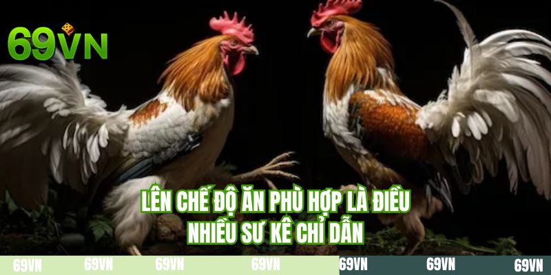 Lên chế độ ăn phù hợp là điều nhiều sư kê chỉ dẫn