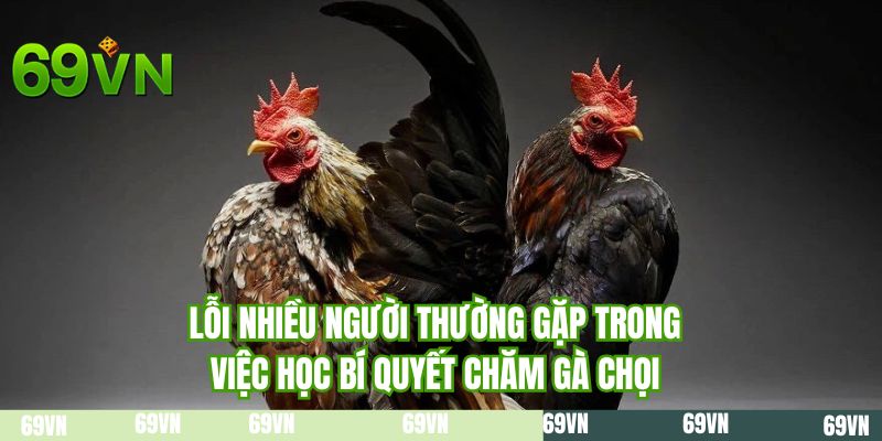 Lỗi nhiều người thường gặp trong việc học bí quyết chăm gà chọi
