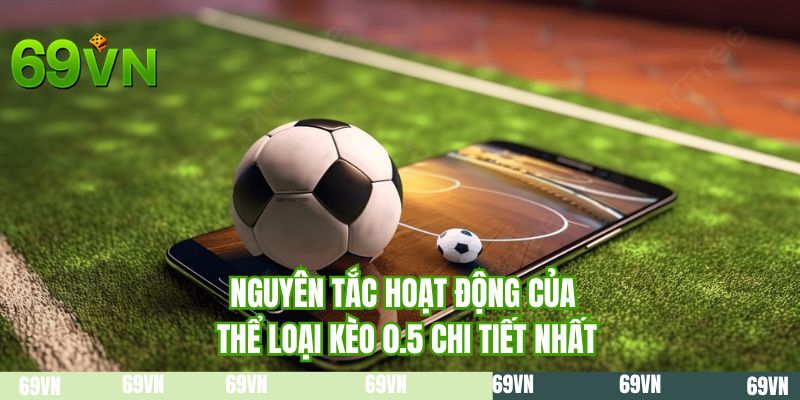 Nguyên tắc hoạt động của thể loại kèo 0.5 chi tiết nhất
