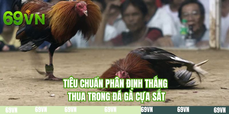 Tiêu chuẩn phân định thắng thua trong đá gà cựa sắt